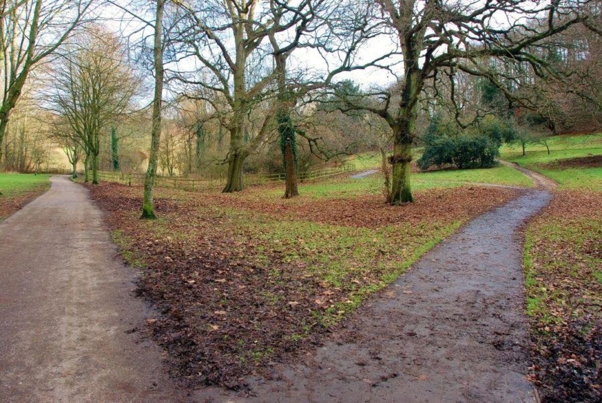 Ninesprings - Yeovil Country Park large photo 4