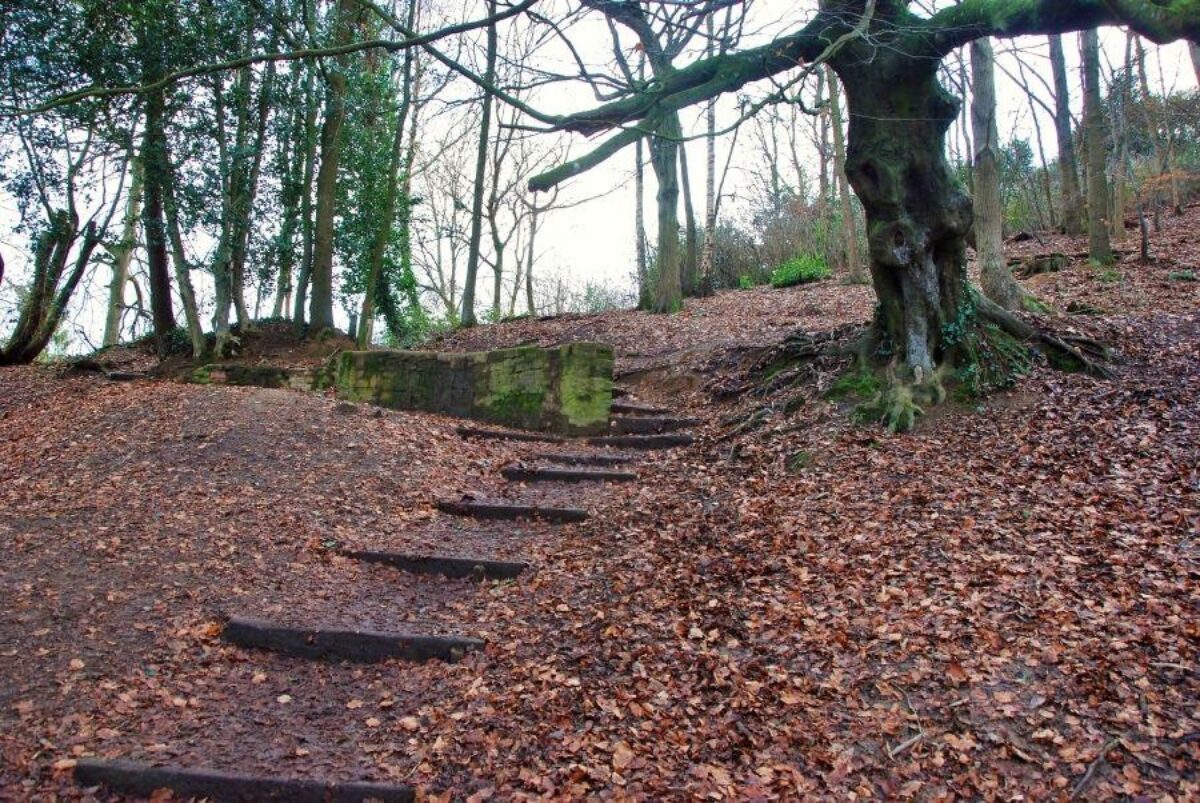 Ninesprings - Yeovil Country Park large photo 5