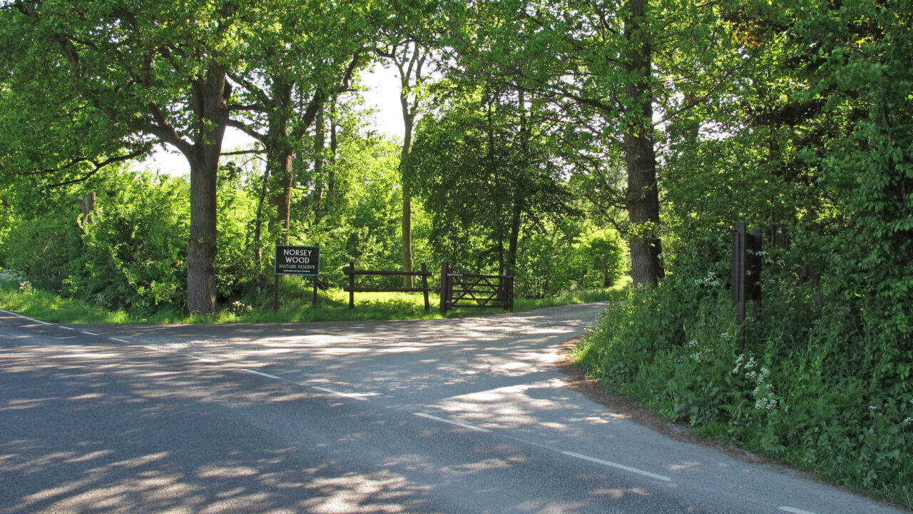 Dog walks in Essex · Walkiees