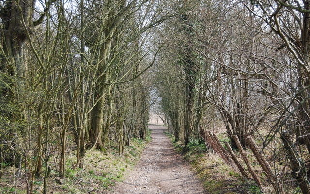 North Downs Way Dog walk in Kent