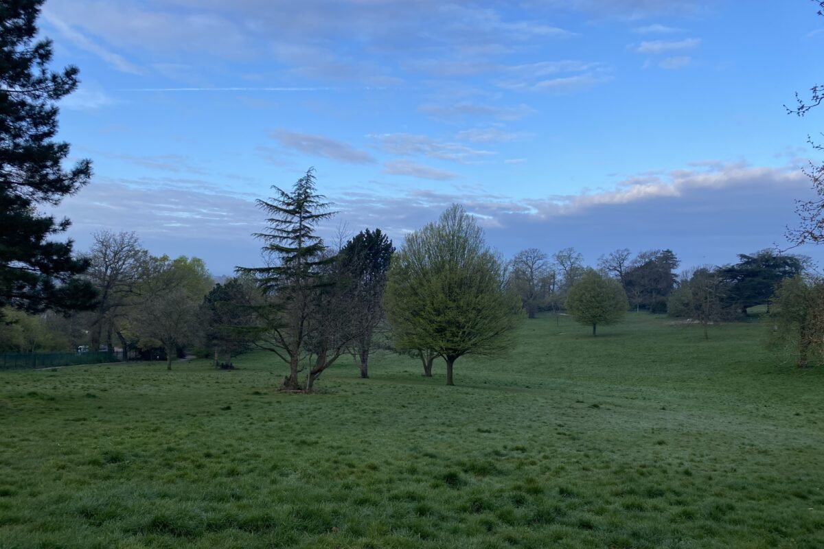 Dog walk at Norwood Grove (behind Streatham Common) · London (Greater