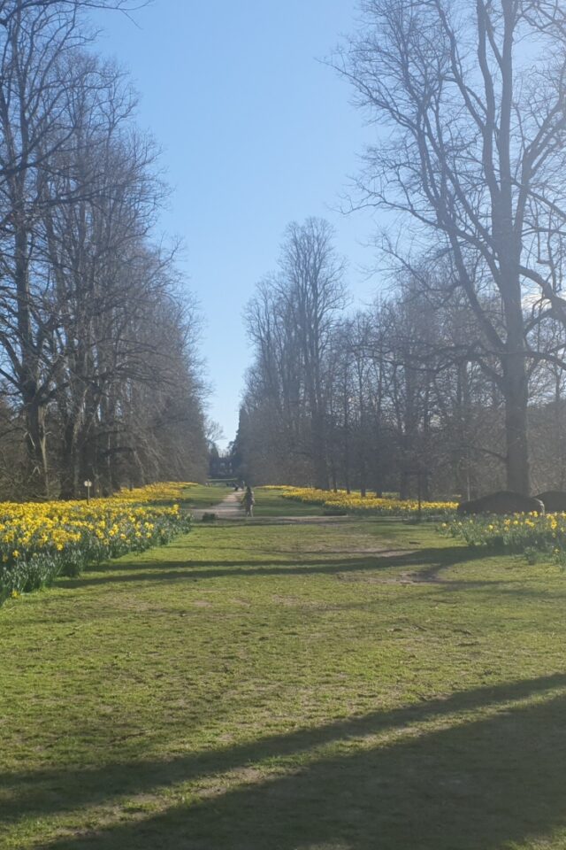 Dog walk at Nowton Park · Suffolk · Walkiees Dog walk at Nowton Park · Suffolk · Walkiees