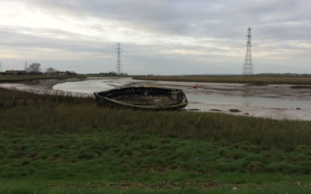 Oare Marshes Dog walk in Kent