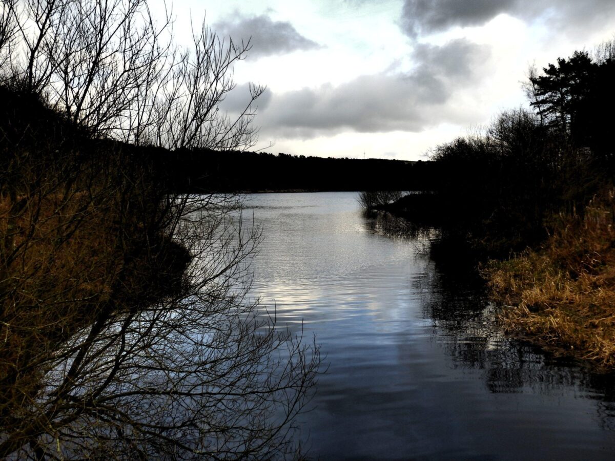 Ogden Water large photo 1