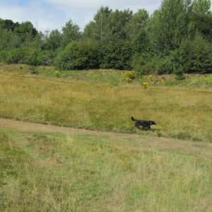 Old Eastleigh Golf Course