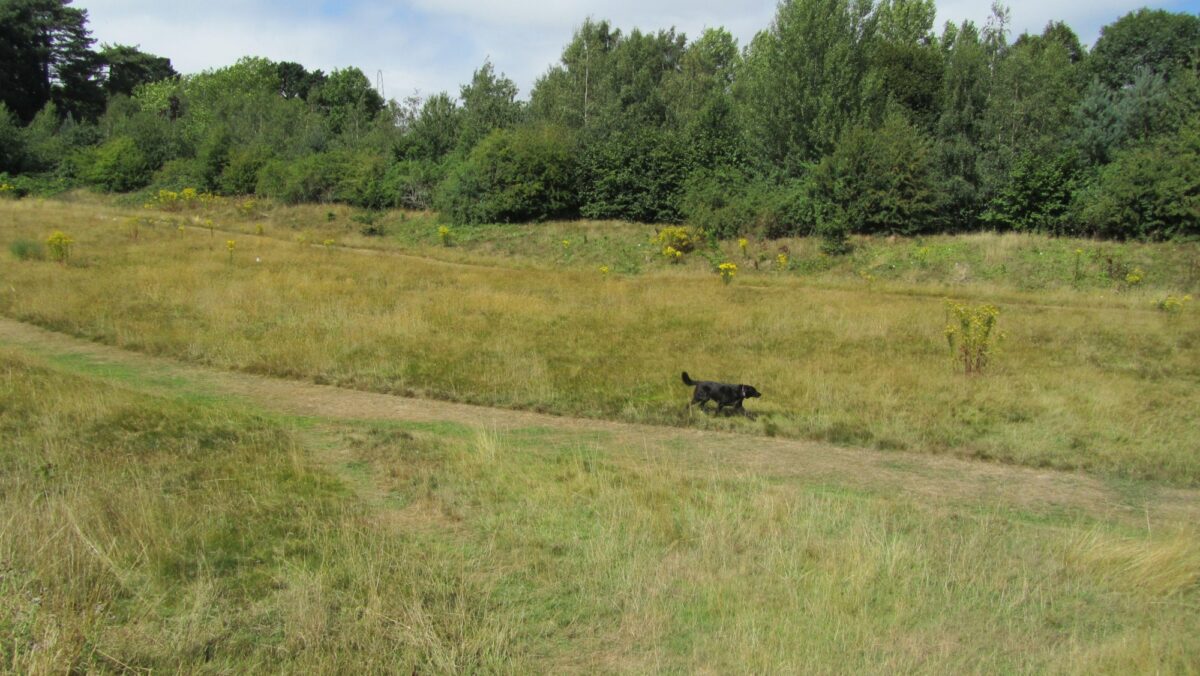 Old Eastleigh Golf Course large photo 1