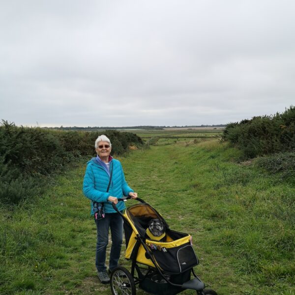 Old Hall Marsh Walk photo 8