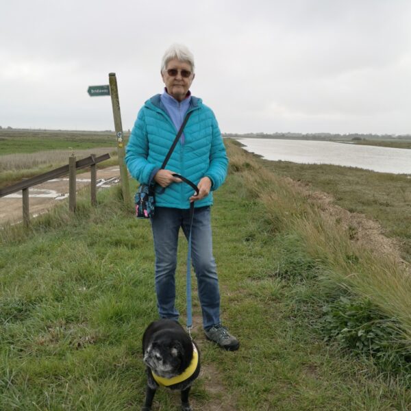 Old Hall Marsh Walk photo 6