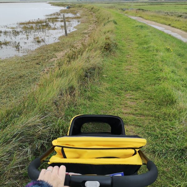 Old Hall Marsh Walk photo 5