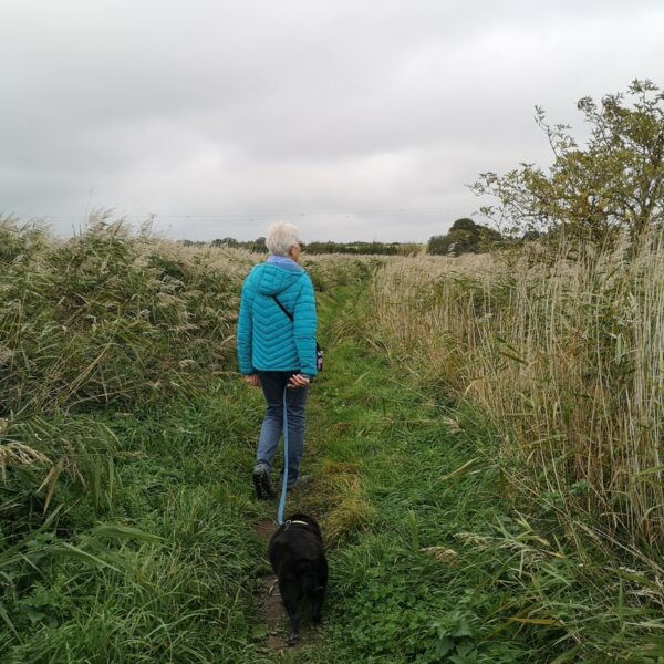Old Hall Marsh Walk photo 3