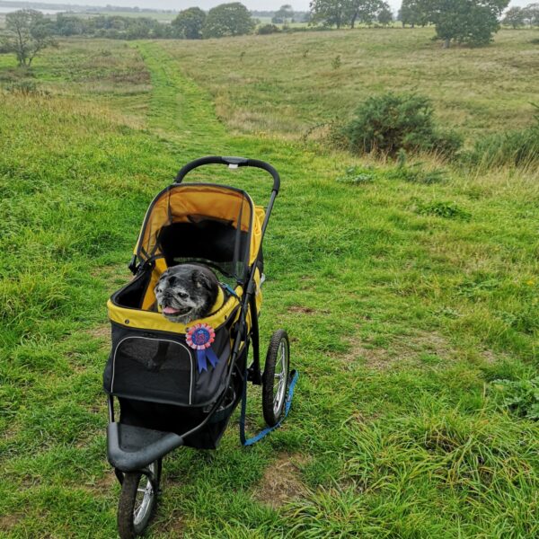 Old Hall Marsh Walk photo 2