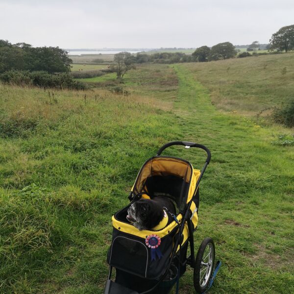 Old Hall Marsh Walk photo 1