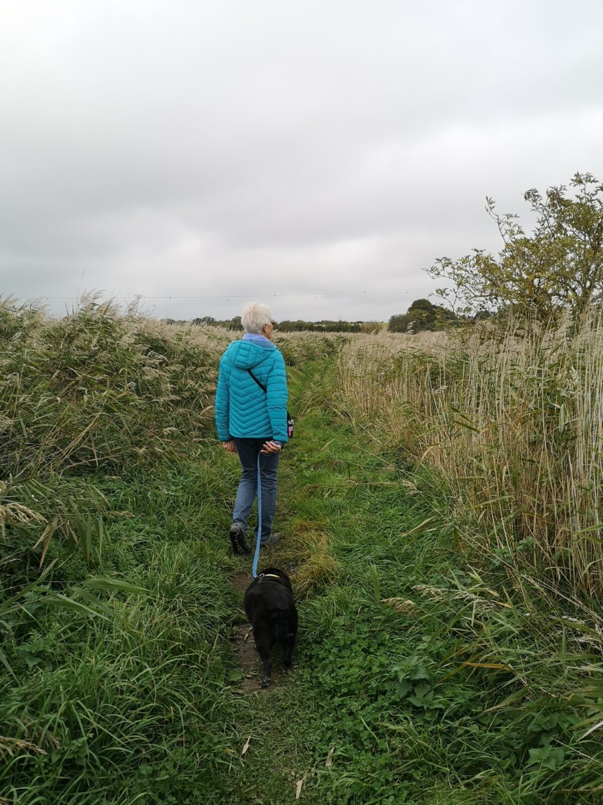 Old Hall Marsh Walk large photo 3