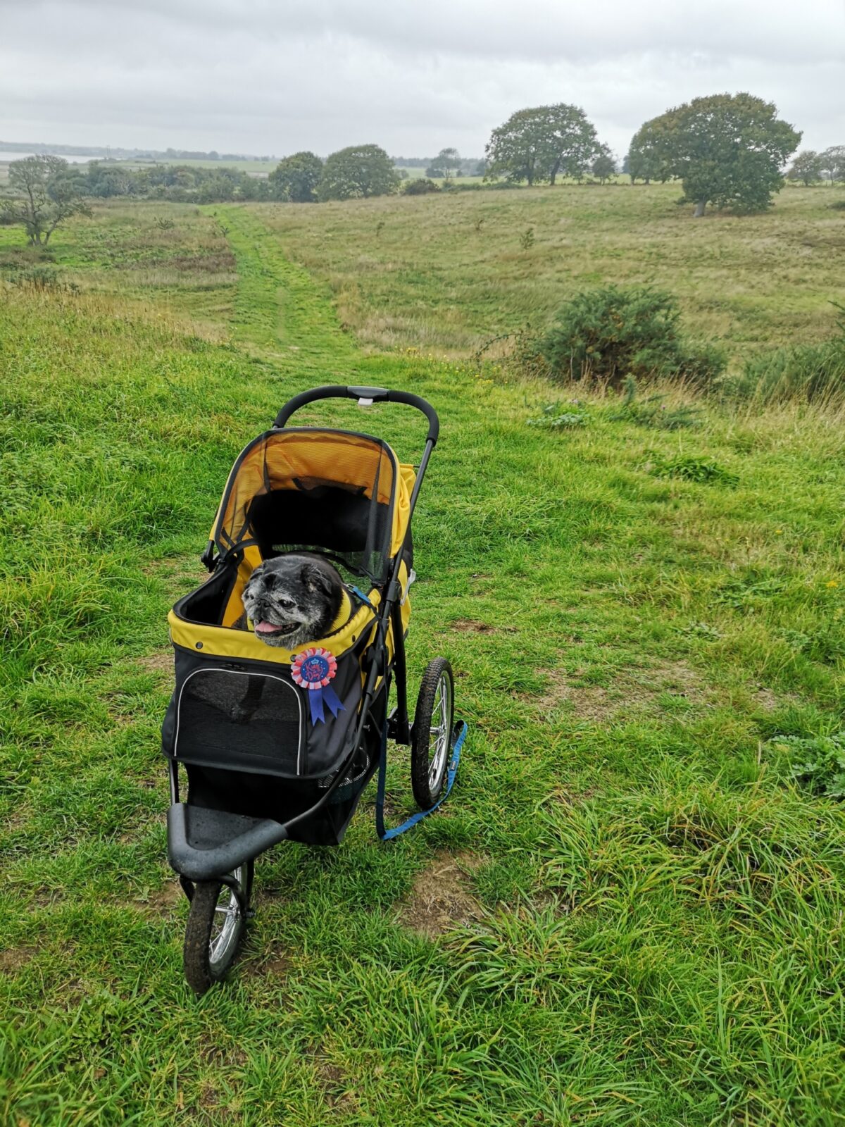 Old Hall Marsh Walk large photo 2