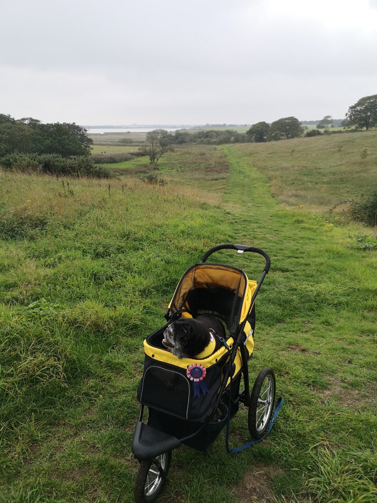 Old Hall Marsh Walk large photo 1