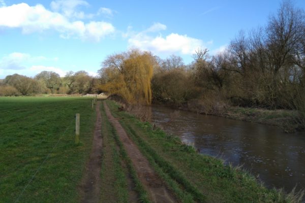 Otterton Circuitphoto