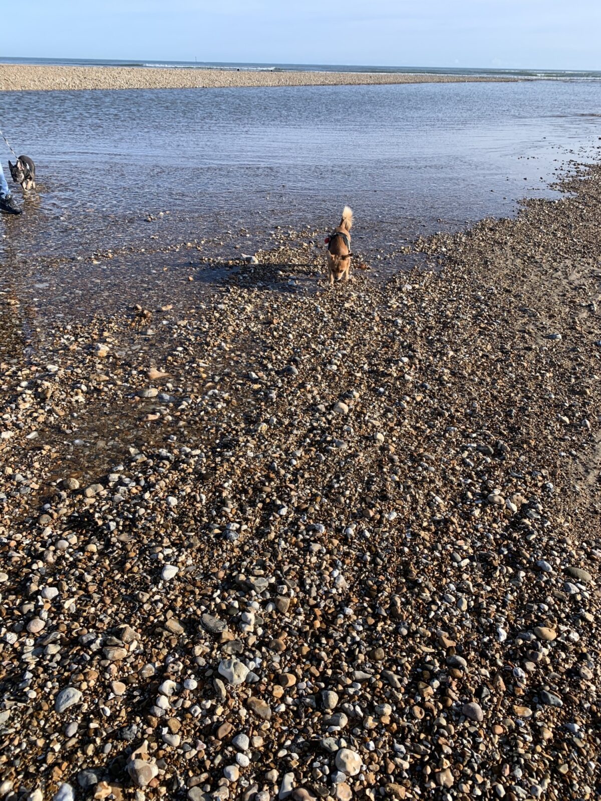 Pagham Harbour large photo 4