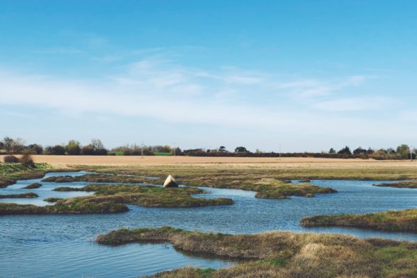 Paglesham Sea Wall and Churchendphoto