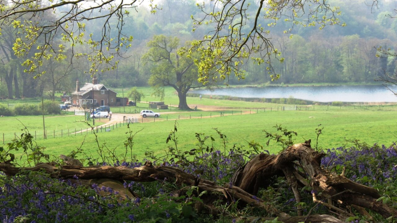 Dog walks in Hertfordshire · Walkiees