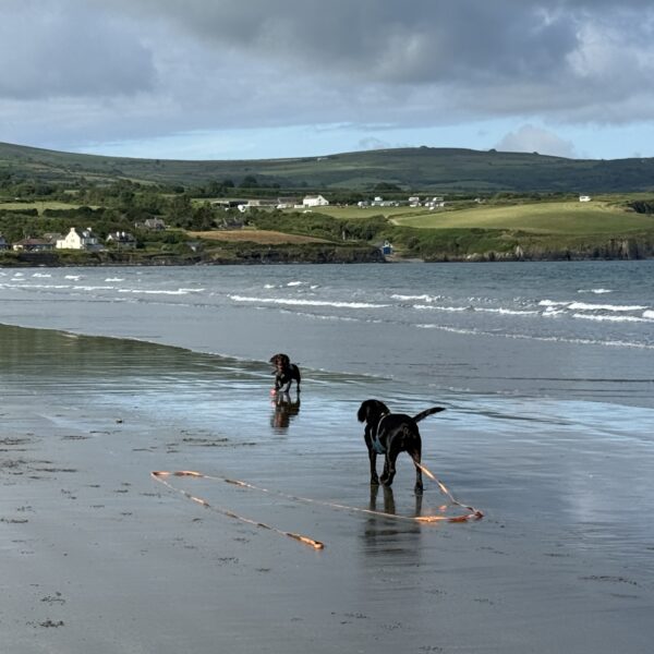 Parrog Newport to Newport sands photo 1