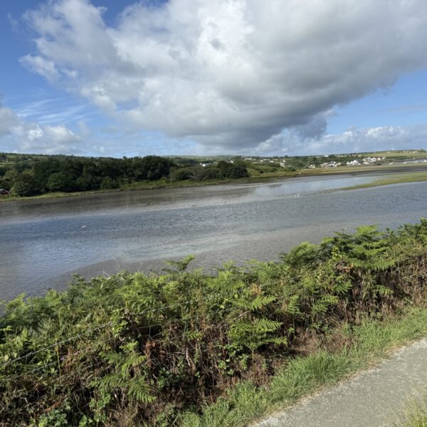 Parrog Newport to Newport sands photo 2