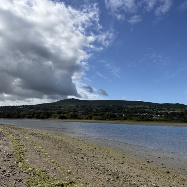 Parrog Newport to Newport sands photo 3