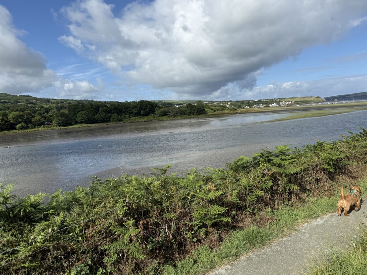 Parrog Newport to Newport sands large photo 2