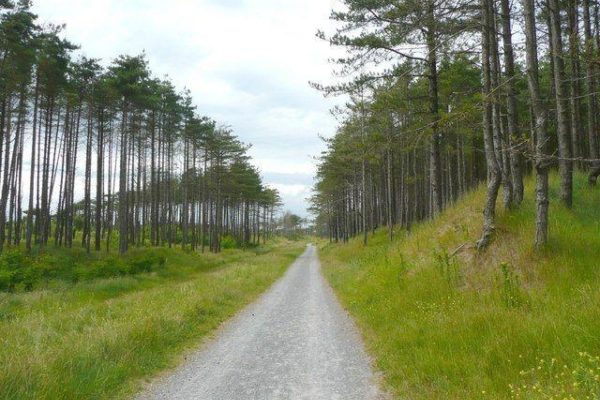 Pembrey Country Parkphoto