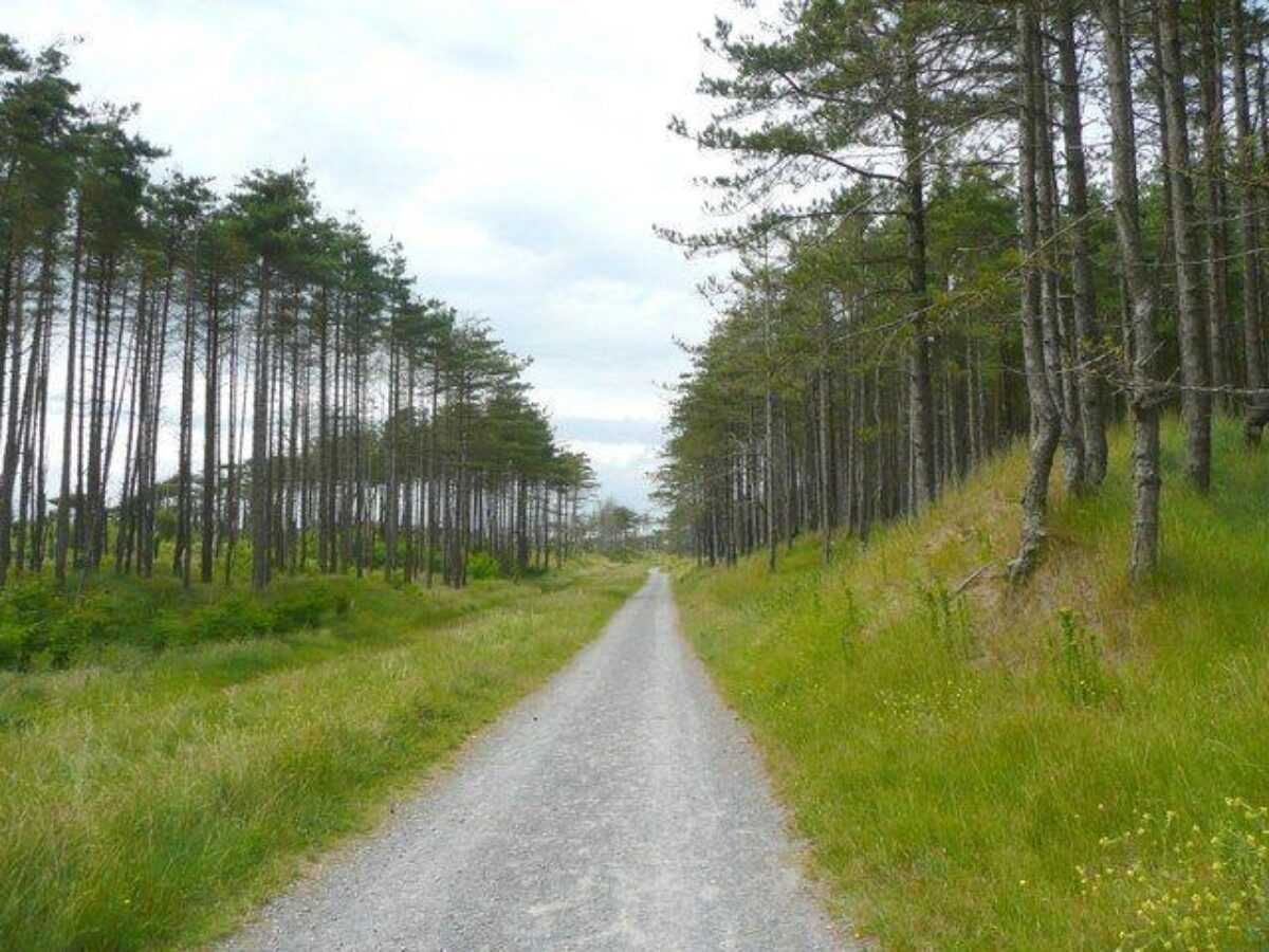 Pembrey Country Park large photo 1