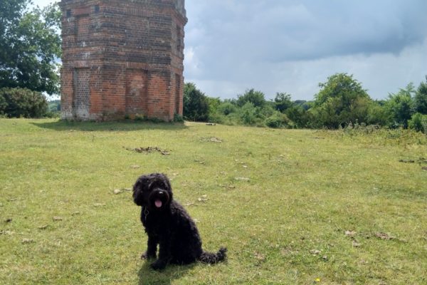 Pepperbox Hill, near Salisburyphoto