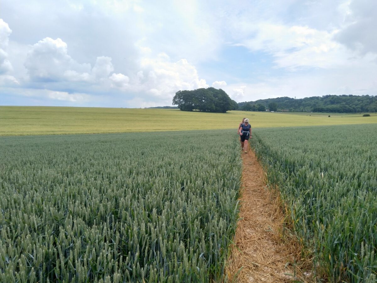 Pepperbox Hill, near Salisbury large photo 3