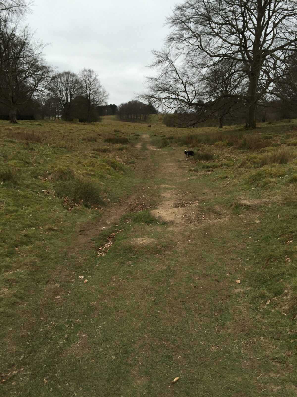 Petworth Park large photo 2