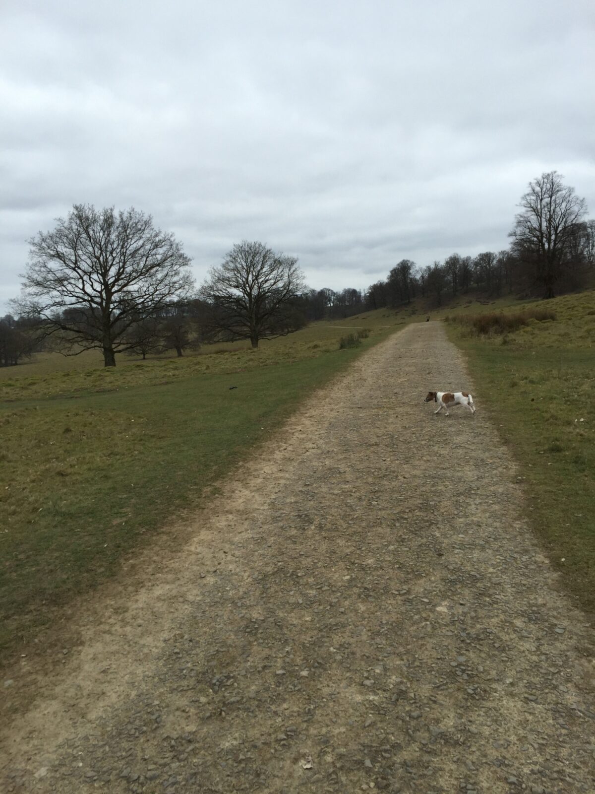 Petworth Park large photo 3