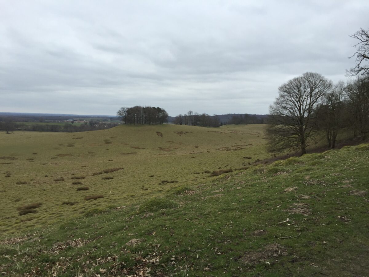 Petworth Park large photo 4