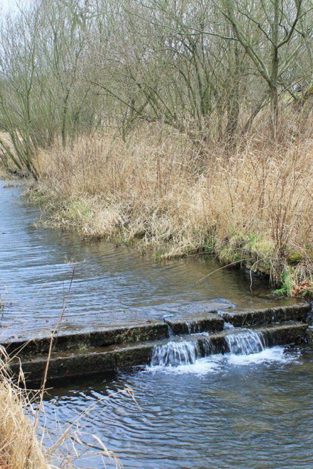 Dog walk at Pitfour Lake · Aberdeenshire · Walkiees