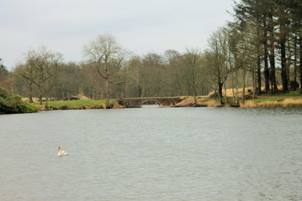 Pitfour Lake large photo 3