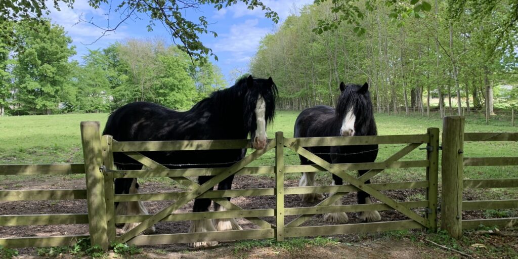 Dog walk at Pitmedden Gardens · Aberdeenshire · Walkiees