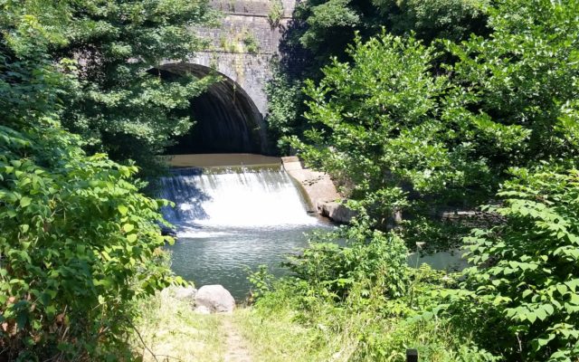 Pontymoile Canal Basin Dog walk in Torfaen