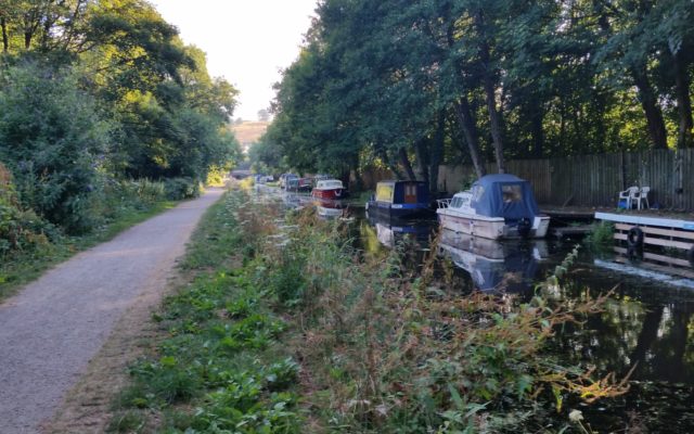 Pontymoile Canal Basin Dog walk in Torfaen