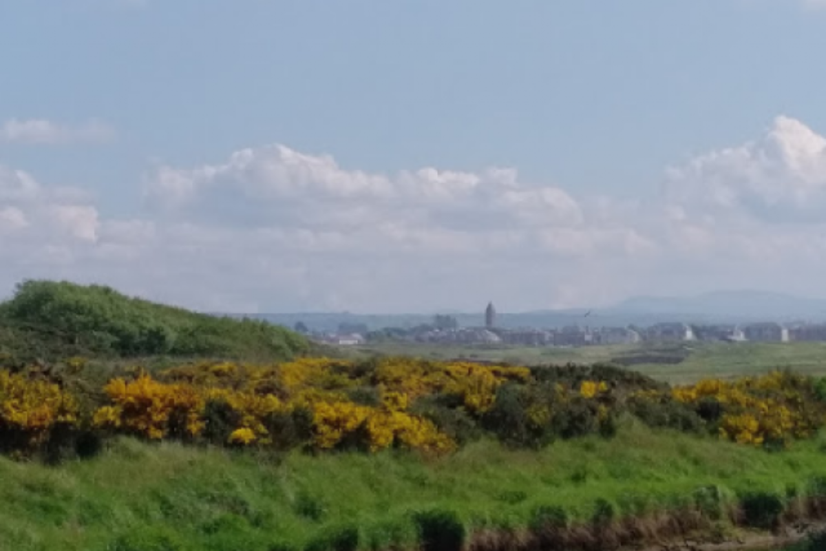 Dog walk at Pow Burn To Prestwick · Ayrshire · Walkiees