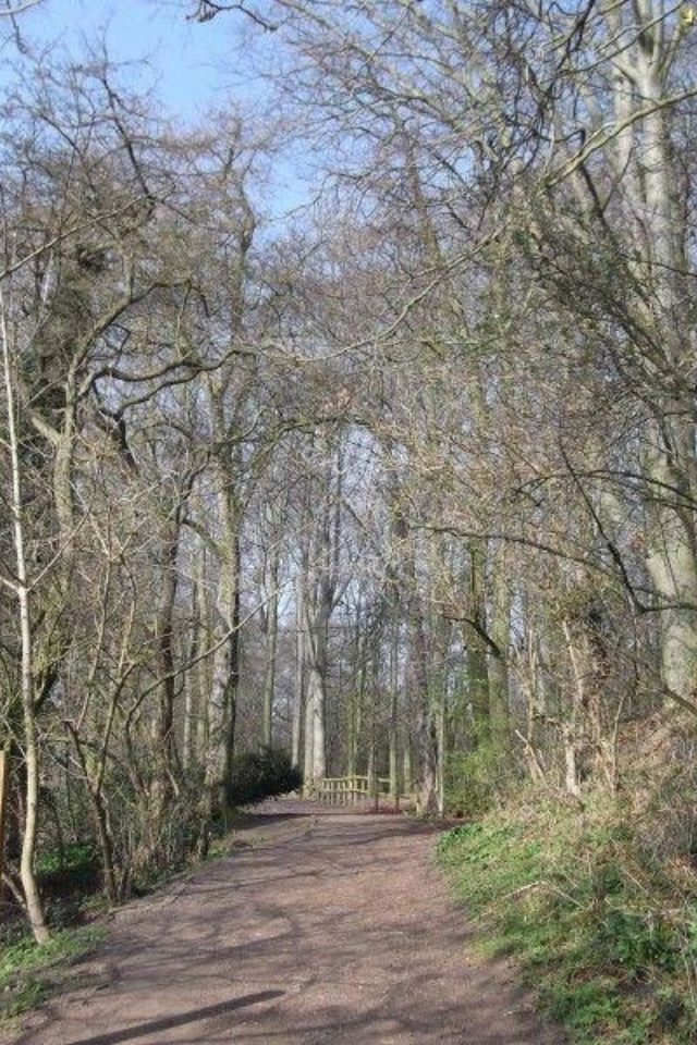 Dog walk at Preston Park · Durham · Walkiees