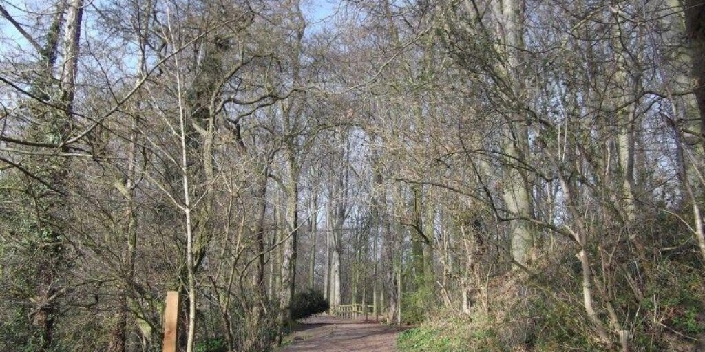 Dog walk at Preston Park Walkiees