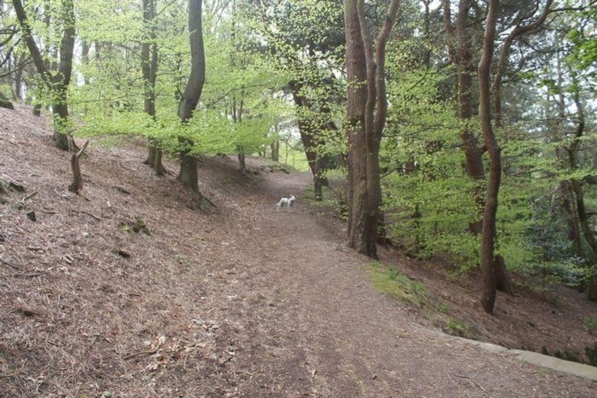 Prince Of Wales Park, Bingley large photo 3