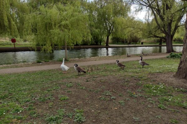 Priory Country Parkphoto