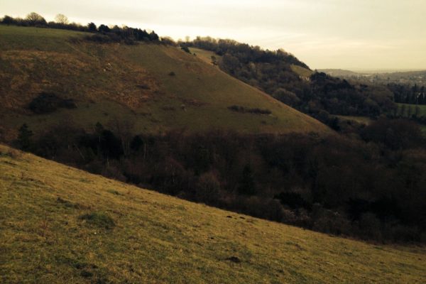 Reigate Hill, North Downs Wayphoto