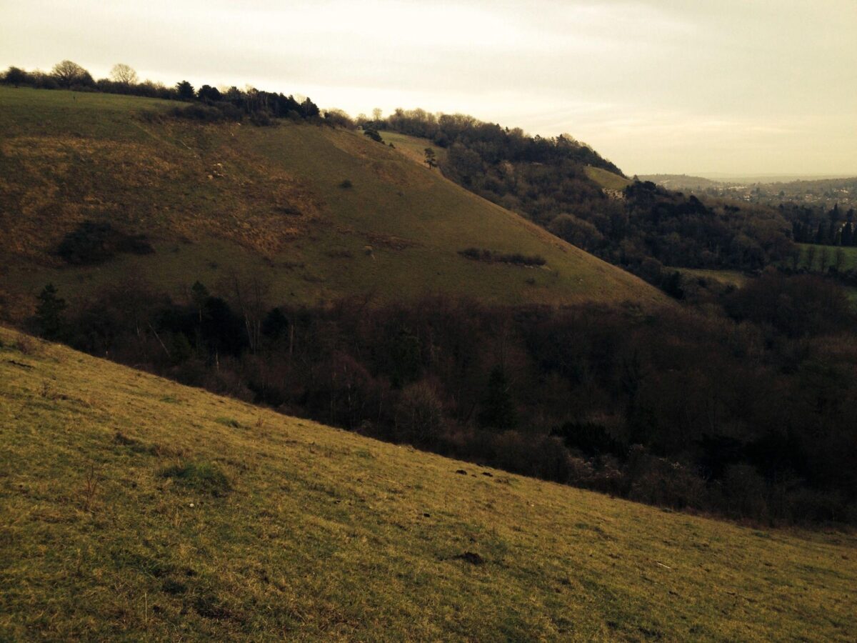 Reigate Hill, North Downs Way large photo 1