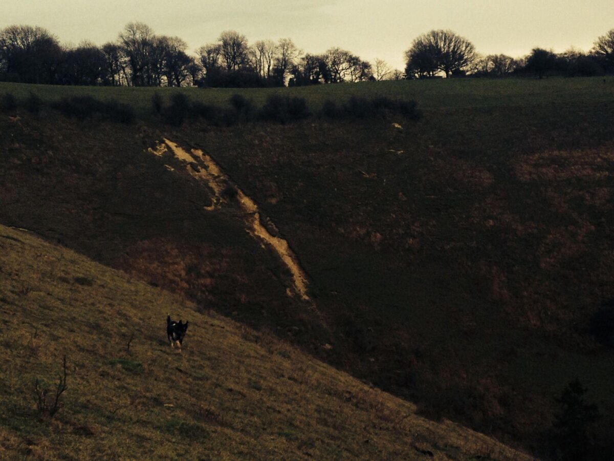 Reigate Hill, North Downs Way large photo 2