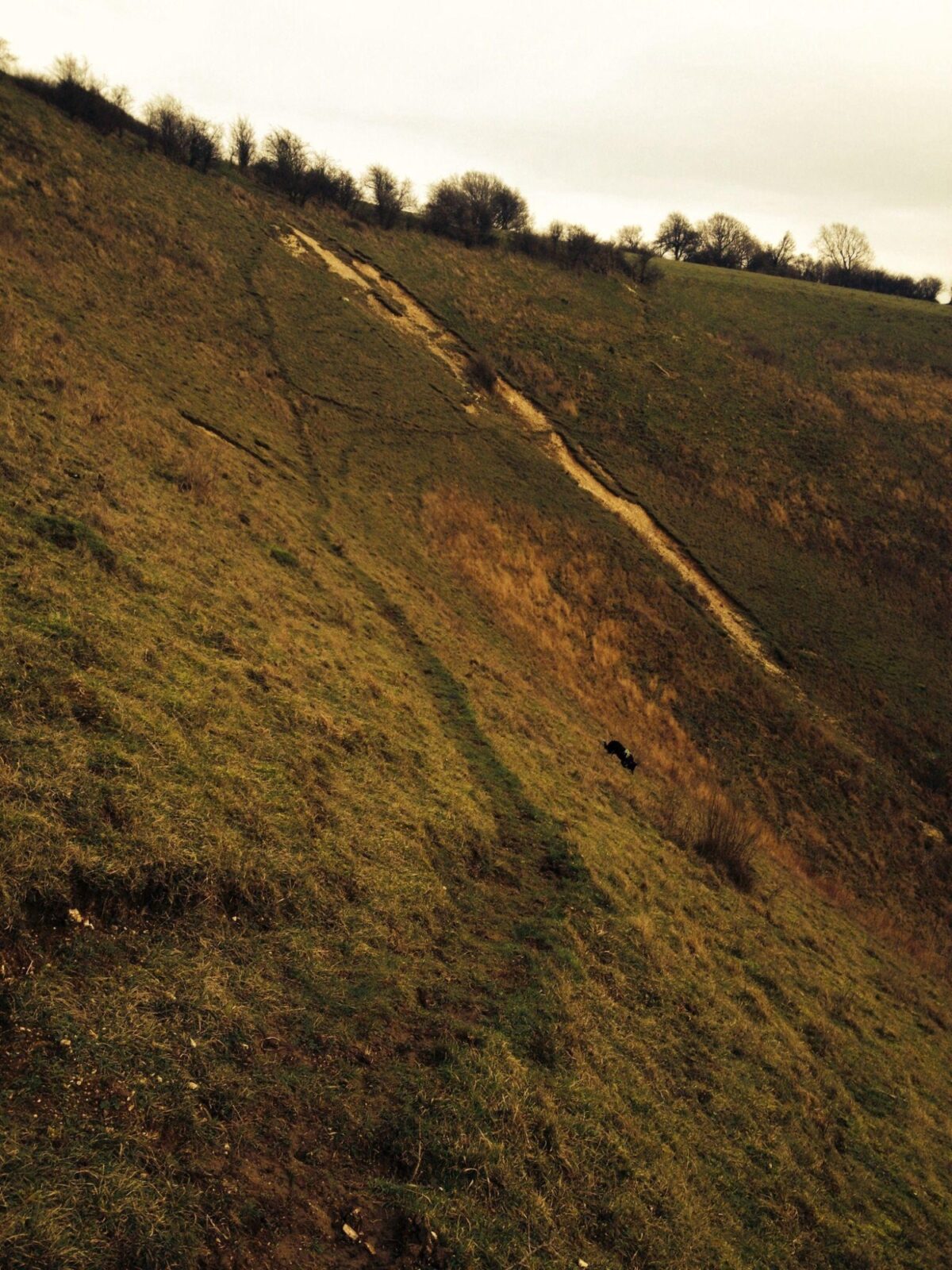 Reigate Hill, North Downs Way large photo 3