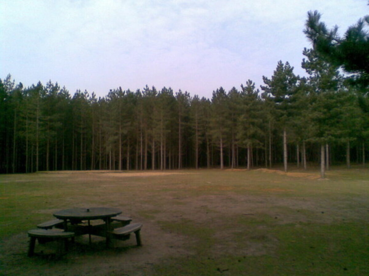 Rendlesham Forest large photo 1