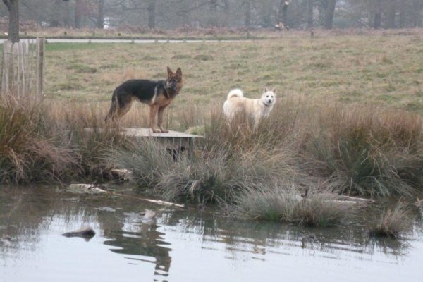 Richmond Parkphoto